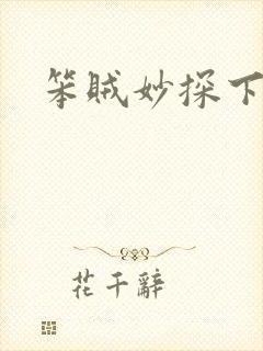 笨贼妙探下载