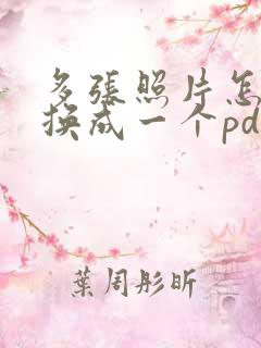 多张照片怎么转换成一个pdf格式