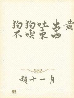 狗狗吐出黄水了不吃东西