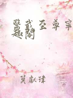 医武至尊宁天笔趣阁