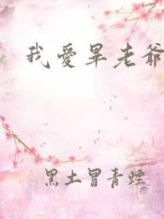 我爱毕老爷