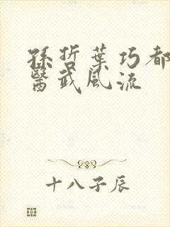 孙哲叶巧都市之医武风流