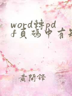 word转pdf页码中有短横线