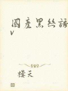 国产黑丝诱惑av