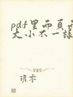 pdf里面页面大小不一样怎么调