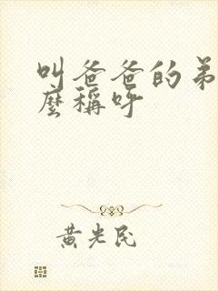 叫爸爸的弟弟怎么称呼