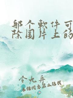 那个软件可以去除图片上的水印文字