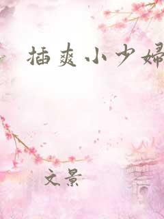插爽小少妇