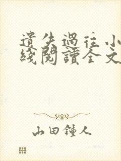 遗失过往小说在线阅读全文无弹窗