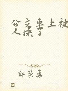 公交车上被陌生人操了
