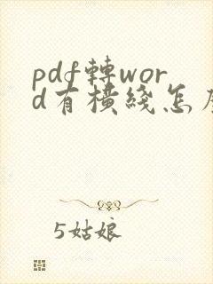 pdf转word有横线怎么去掉
