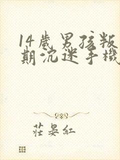 14岁男孩叛逆期沉迷手机怎么管教