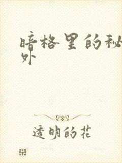 暗格里的秘密番外