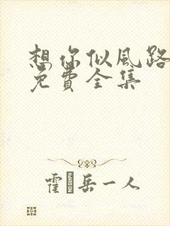 想你似风路过我免费全集