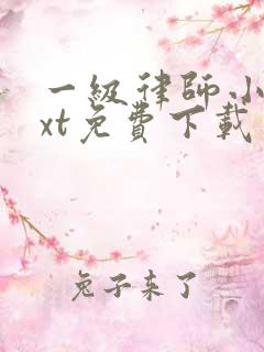 一级律师小说txt免费下载