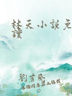林天小说免费阅读