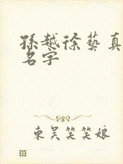 孙越徐艺真短剧名字