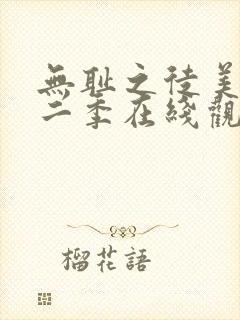 无耻之徒美剧第二季在线观看