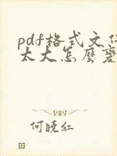 pdf格式文件太大怎么变小
