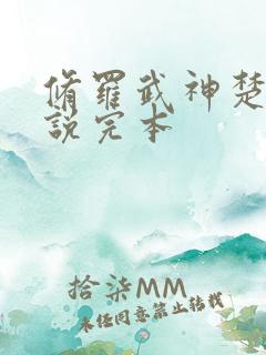 修罗武神楚枫小说完本
