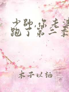 少帅,你老婆又跑了第二季