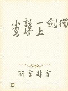 小说一剑独尊青鸾峰上