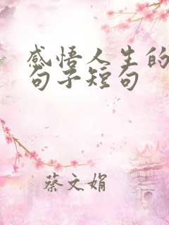感悟人生的经典句子短句