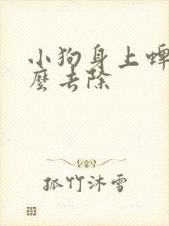 小狗身上蜱虫怎么去除