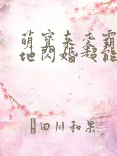 萌宝来袭霸总爹地闪婚超能妈咪