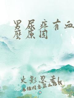 男尿疼有血是什么原因