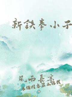 新铁拳小子