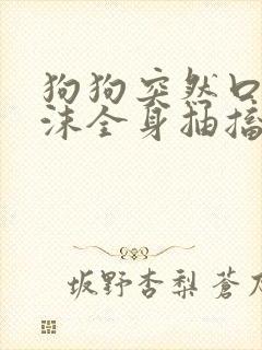 狗狗突然口吐白沫全身抽搐怎么救