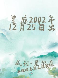 农历2002年12月25日出生人,命运
