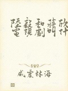 陆毅和蒋欣演的电视剧叫什么名字