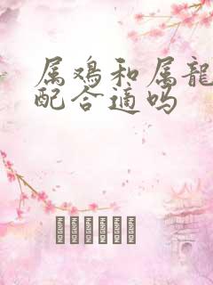 属鸡和属龙的婚配合适吗