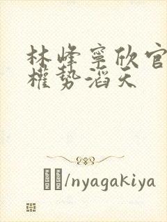 林峰宁欣官道之权势滔天