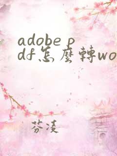 adobe pdf怎么转word