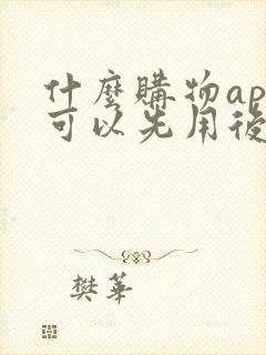 什么购物app可以先用后付