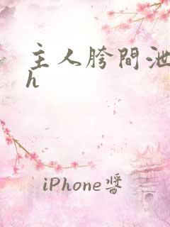 主人胯间泄欲奴h