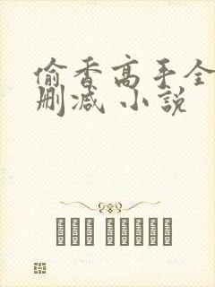 偷香高手全文无删减 小说