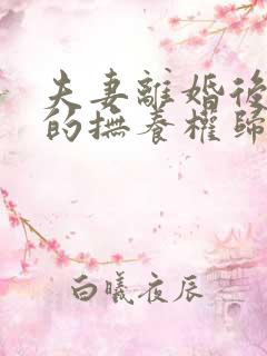 夫妻离婚后孩子的抚养权归属