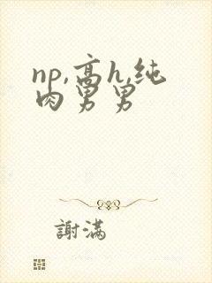 np,高h,纯肉男男