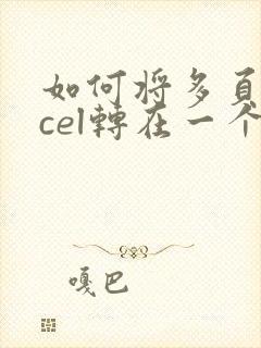 如何将多页excel转在一个pdf文件