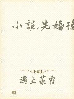 小说,先婚后爱