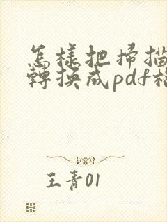 怎样把扫描文件转换成pdf格式