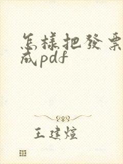 怎样把发票转换成pdf