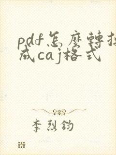 pdf怎么转换成caj格式