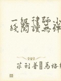 一级律师小说在线阅读无弹窗