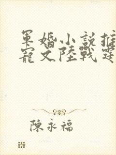 军婚小说推荐甜宠文陆战霆
