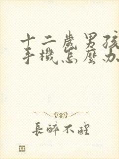 十二岁男孩沉迷手机怎么办